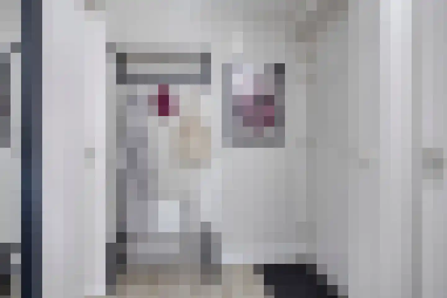 Nieuwestraat 27 a Groenlo thumbnail 8