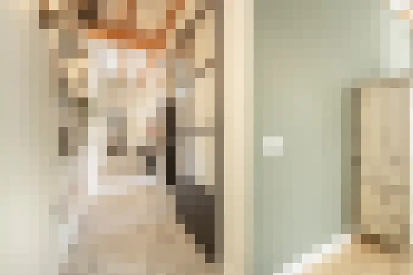 Nieuwestraat 3 Strijen thumbnail 11