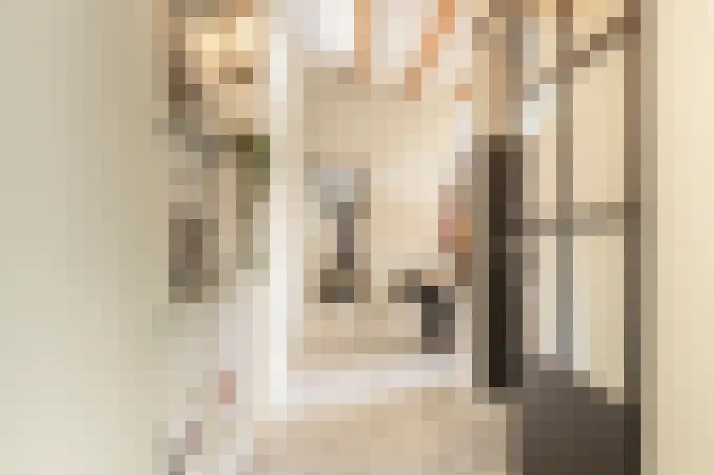 Nieuwestraat 3 Strijen thumbnail 12