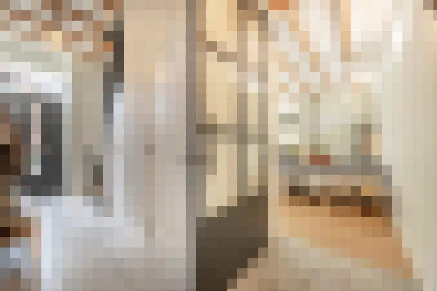 Nieuwestraat 3 Strijen thumbnail 13