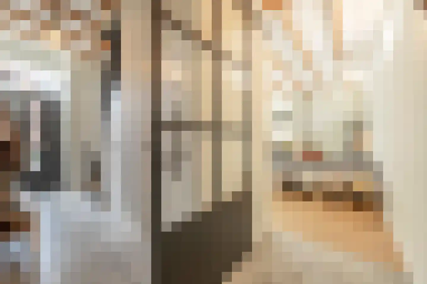 Nieuwestraat 3 Strijen thumbnail 14