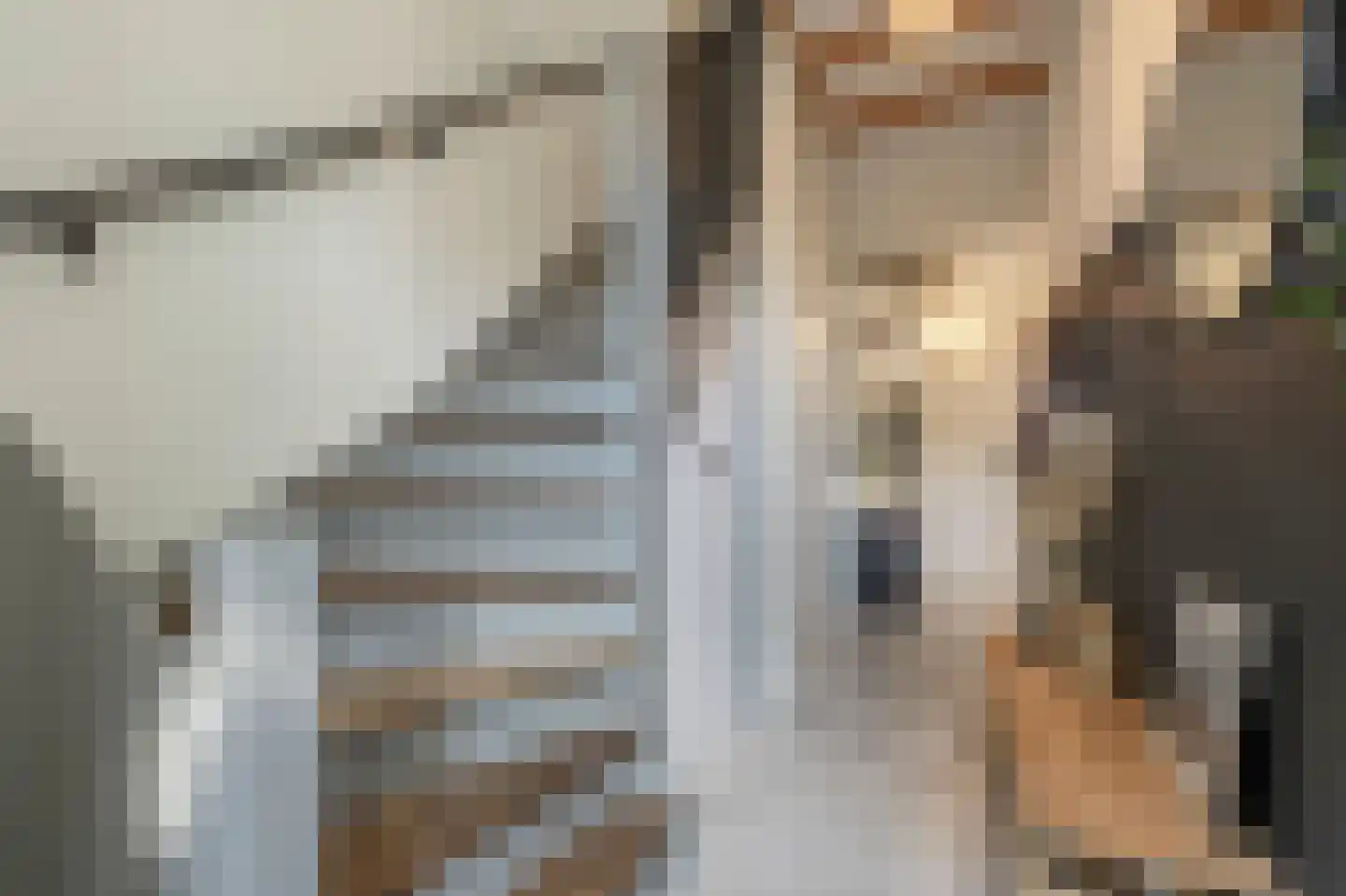 Nieuwestraat 3 Strijen thumbnail 16