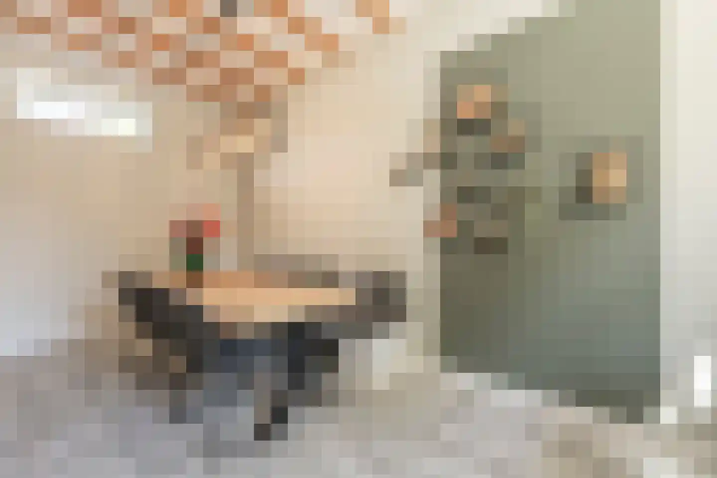 Nieuwestraat 3 Strijen thumbnail 22