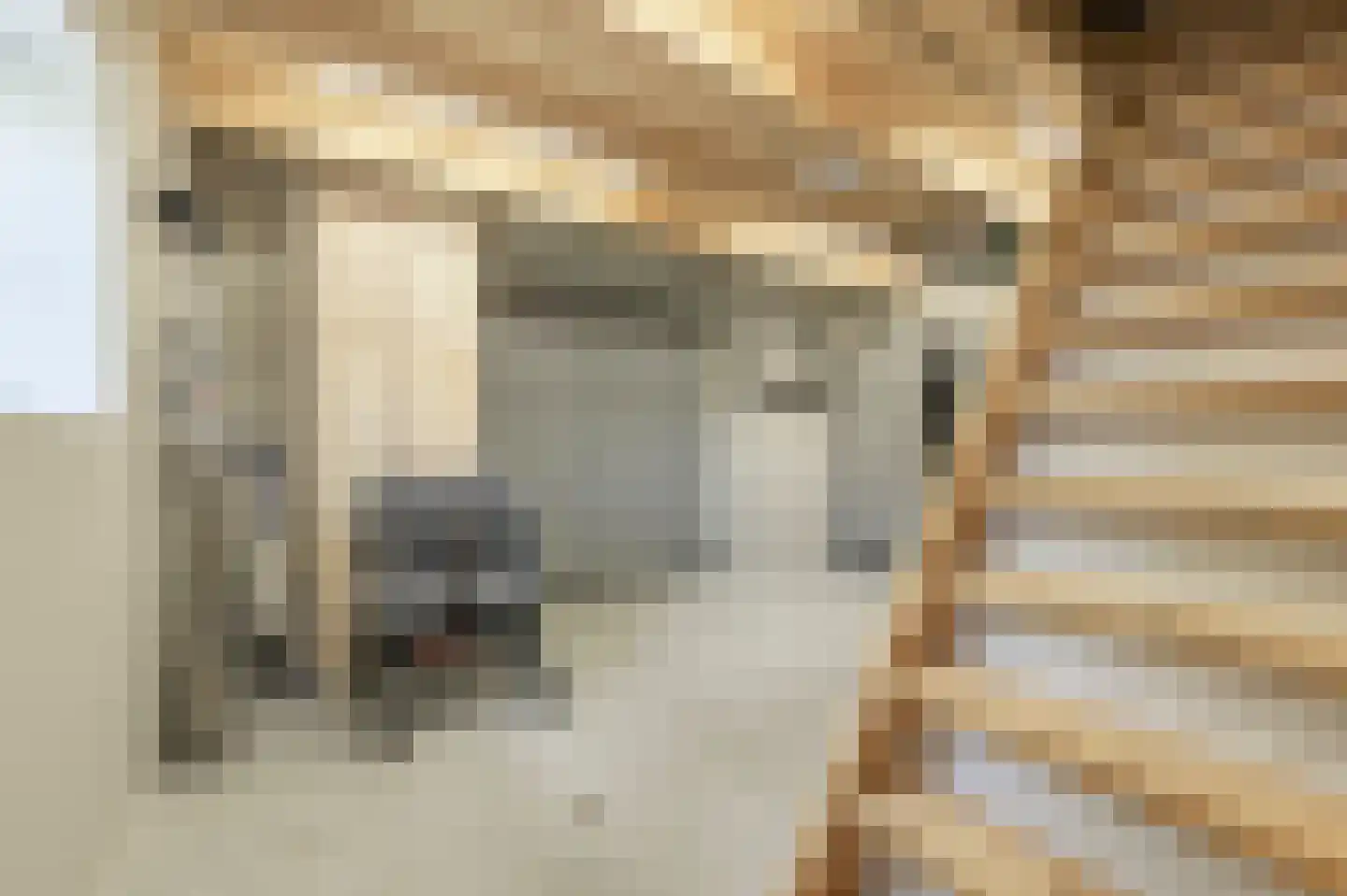 Nieuwestraat 3 Strijen thumbnail 26