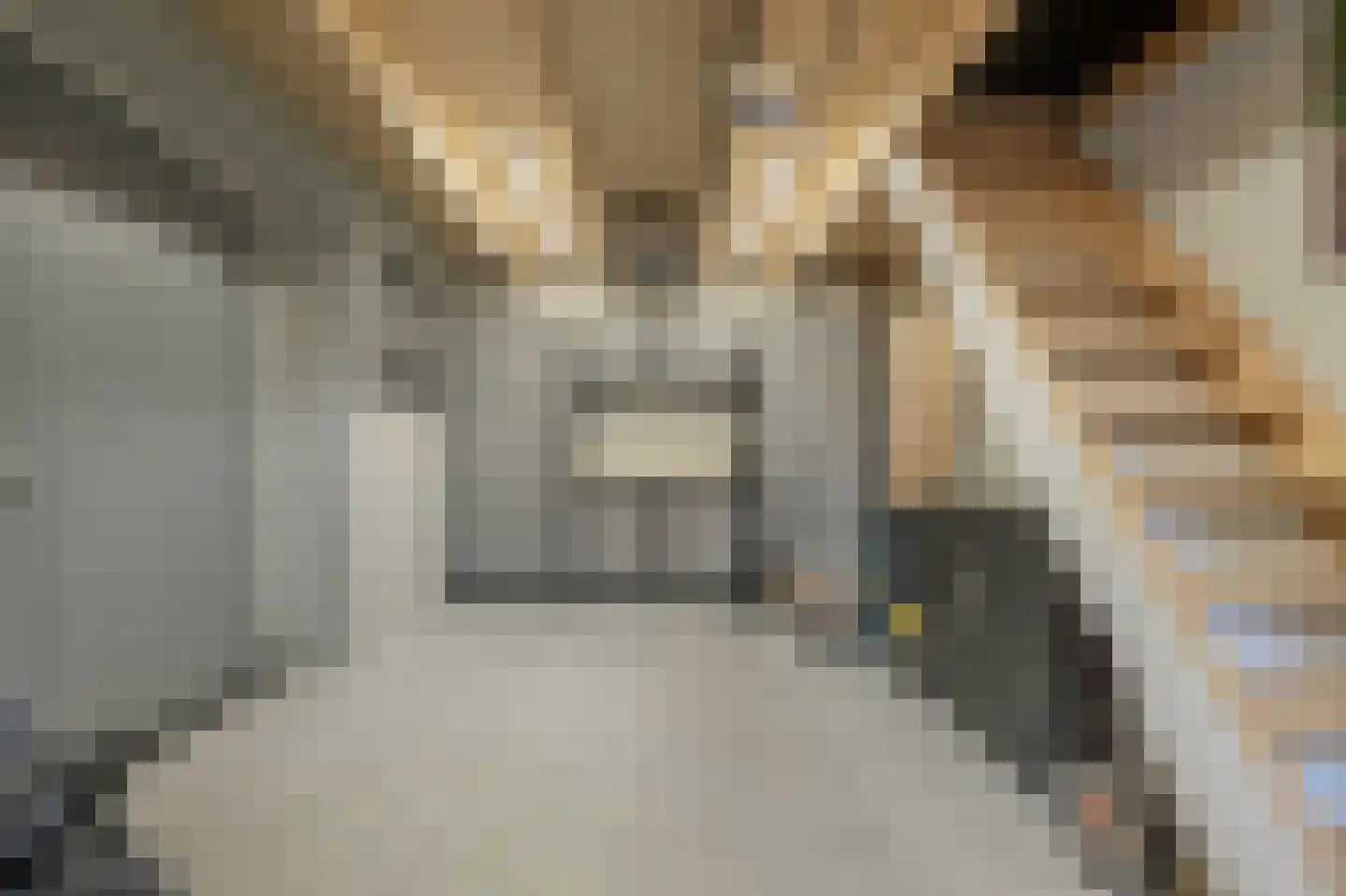 Nieuwestraat 3 Strijen thumbnail 27