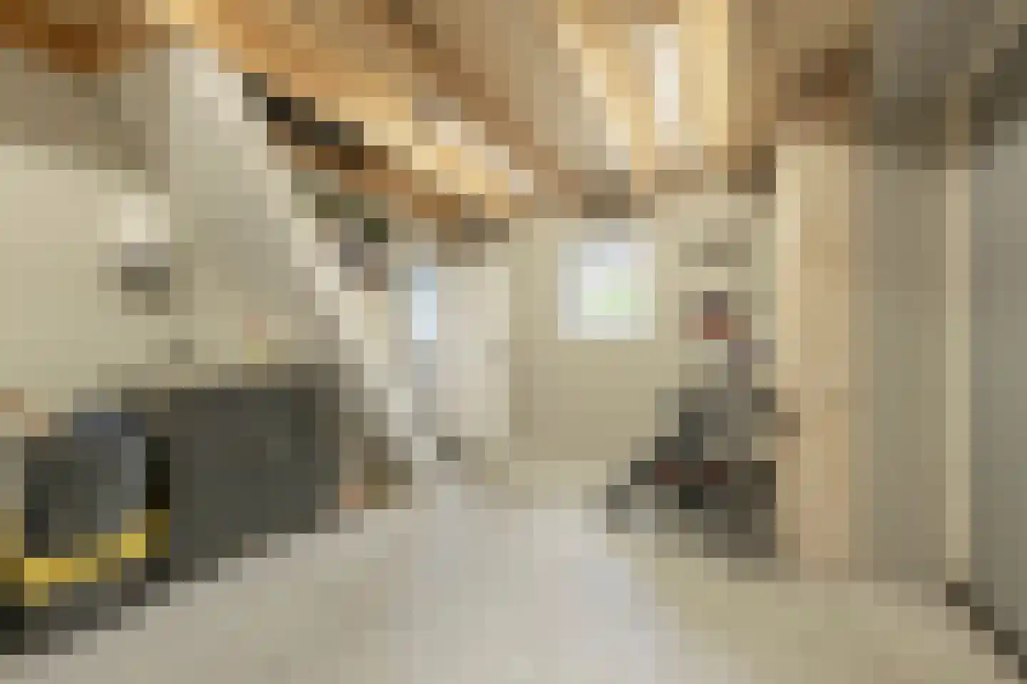 Nieuwestraat 3 Strijen thumbnail 28