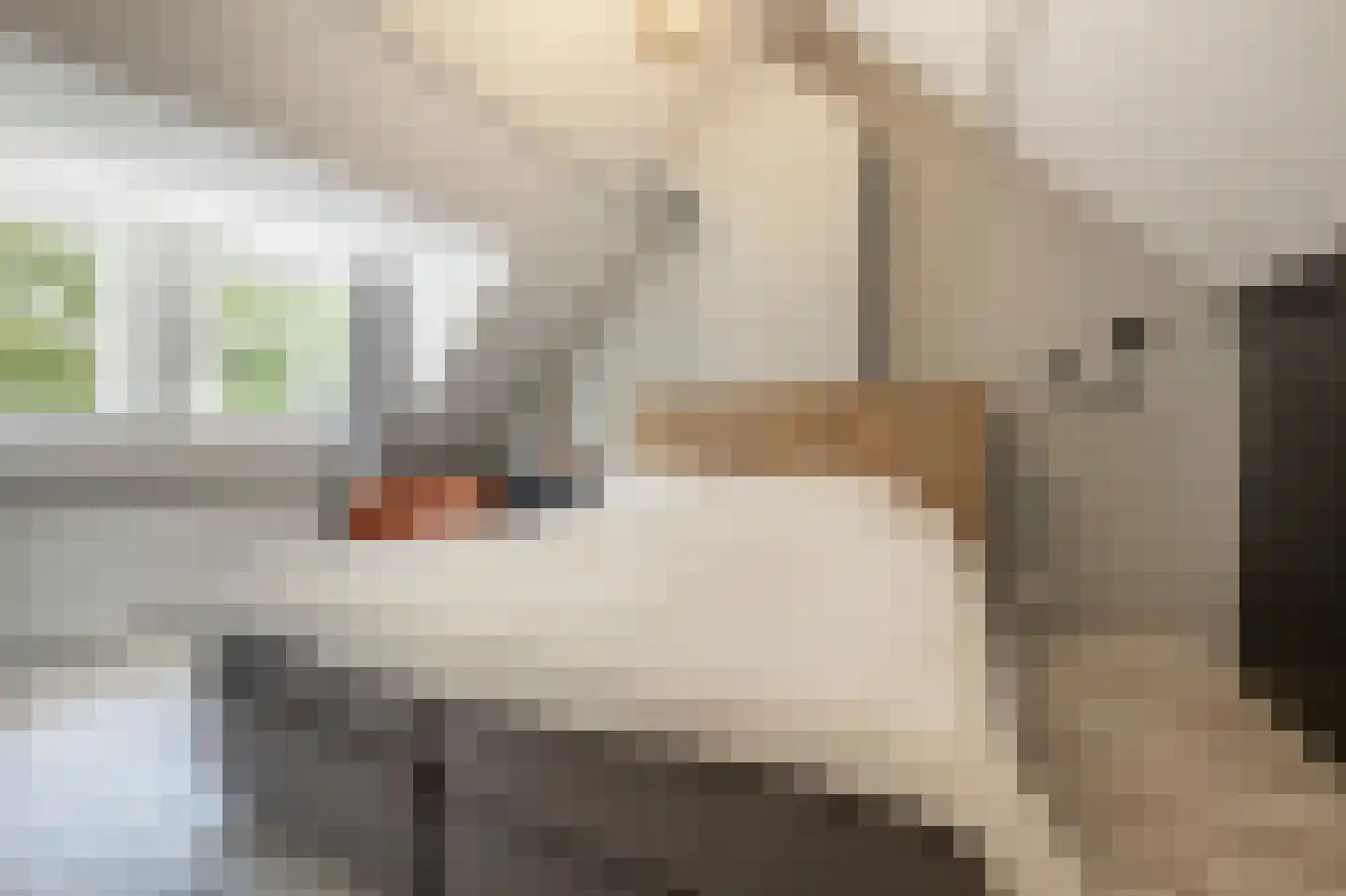 Nieuwestraat 3 Strijen thumbnail 29