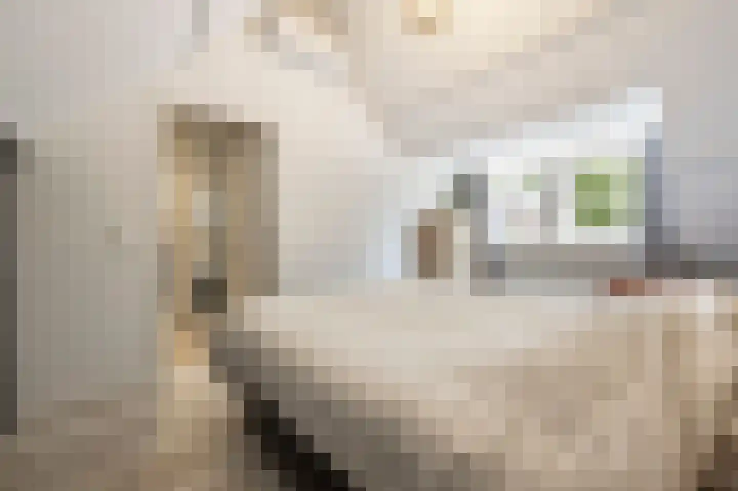 Nieuwestraat 3 Strijen thumbnail 30