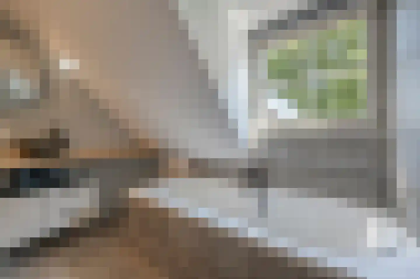 Nieuwestraat 3 Strijen thumbnail 36