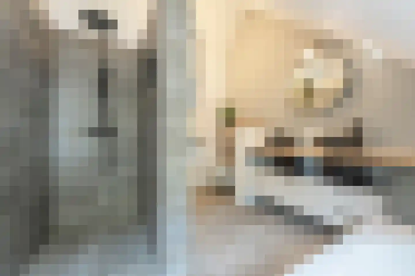 Nieuwestraat 3 Strijen thumbnail 37