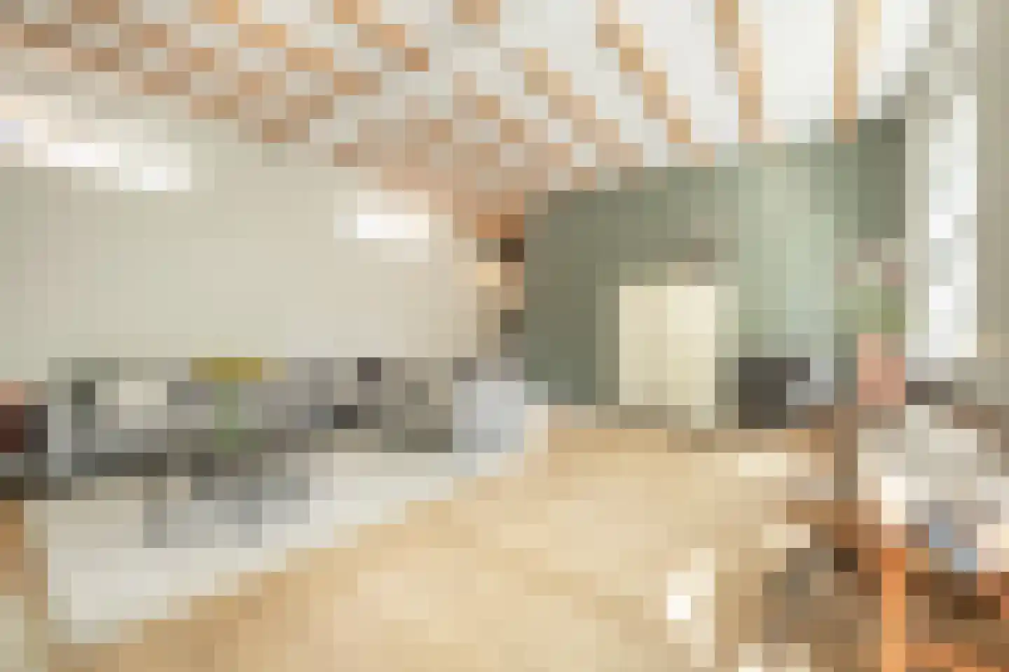 Nieuwestraat 3 Strijen thumbnail 4