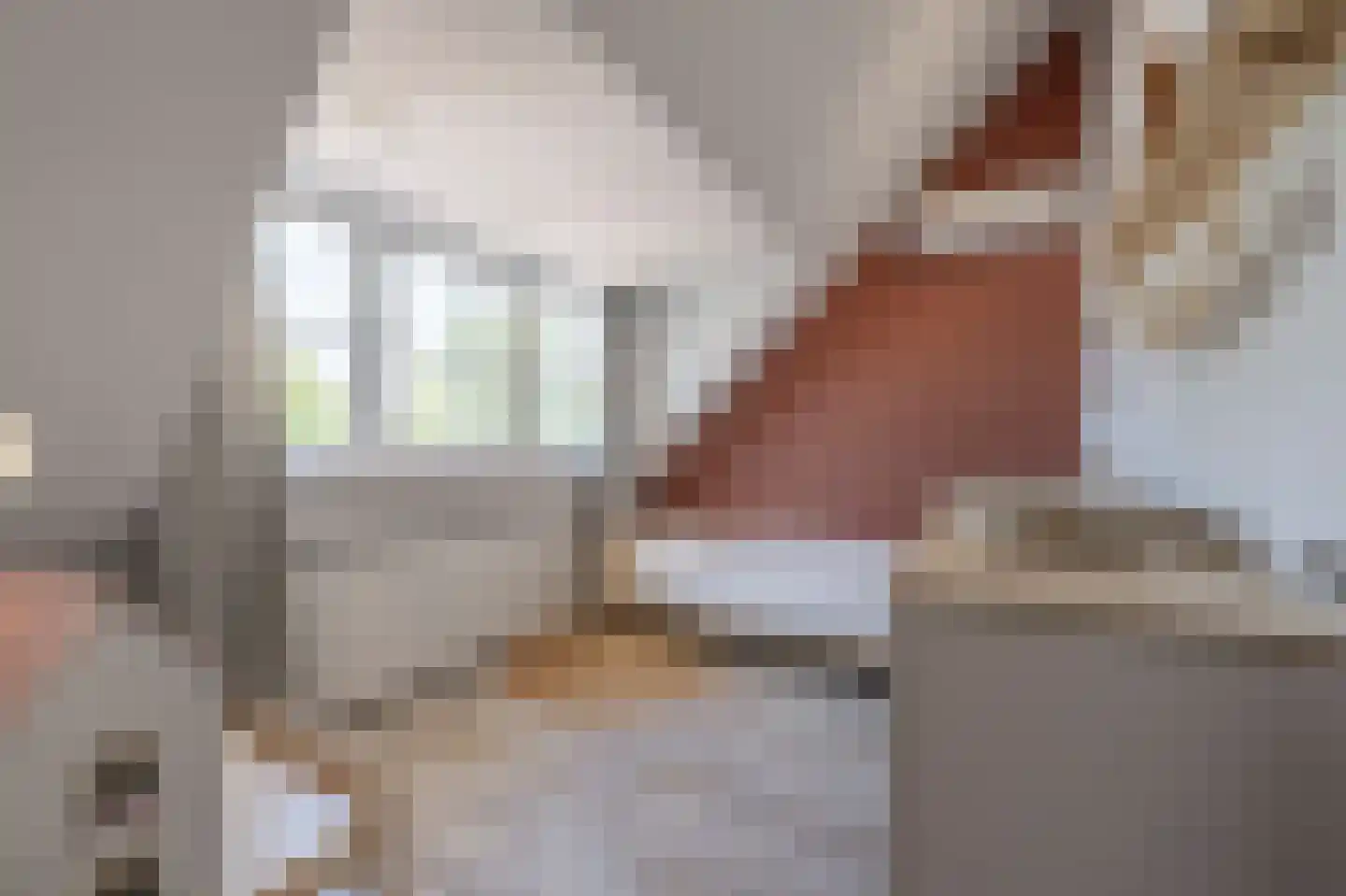 Nieuwestraat 3 Strijen thumbnail 40