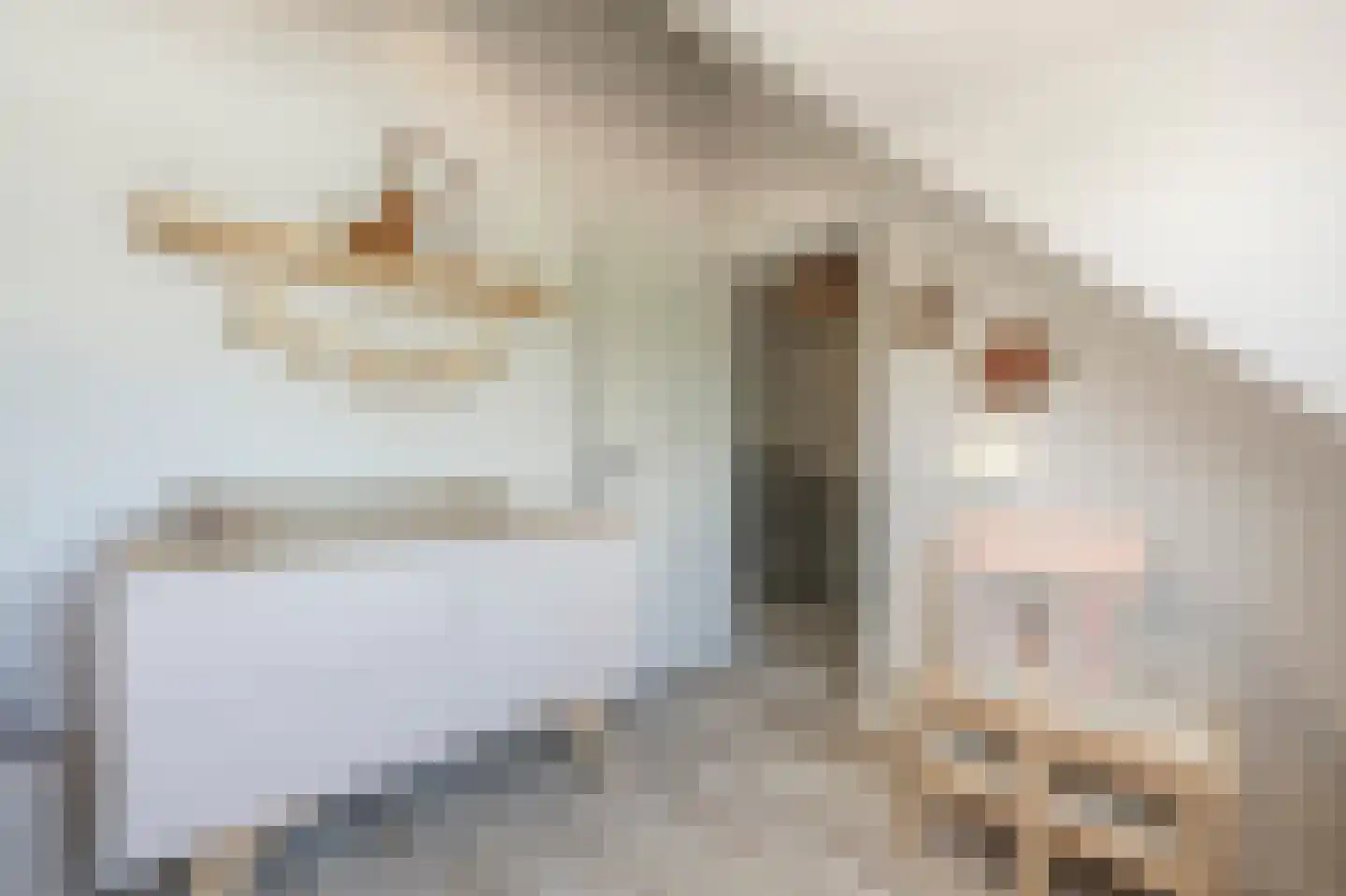 Nieuwestraat 3 Strijen thumbnail 41