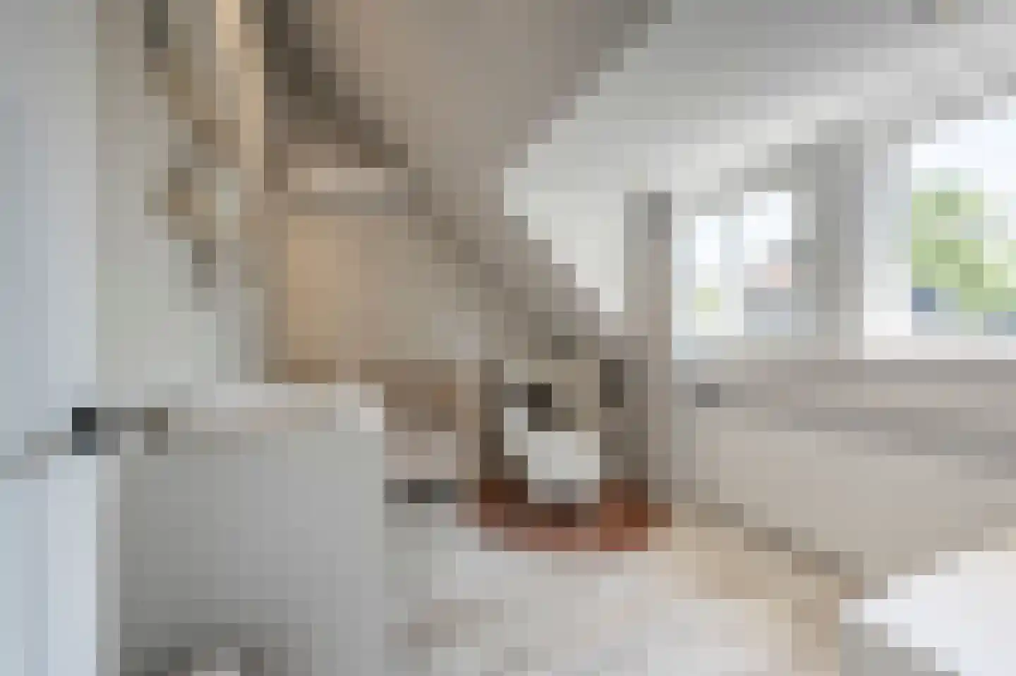 Nieuwestraat 3 Strijen thumbnail 43