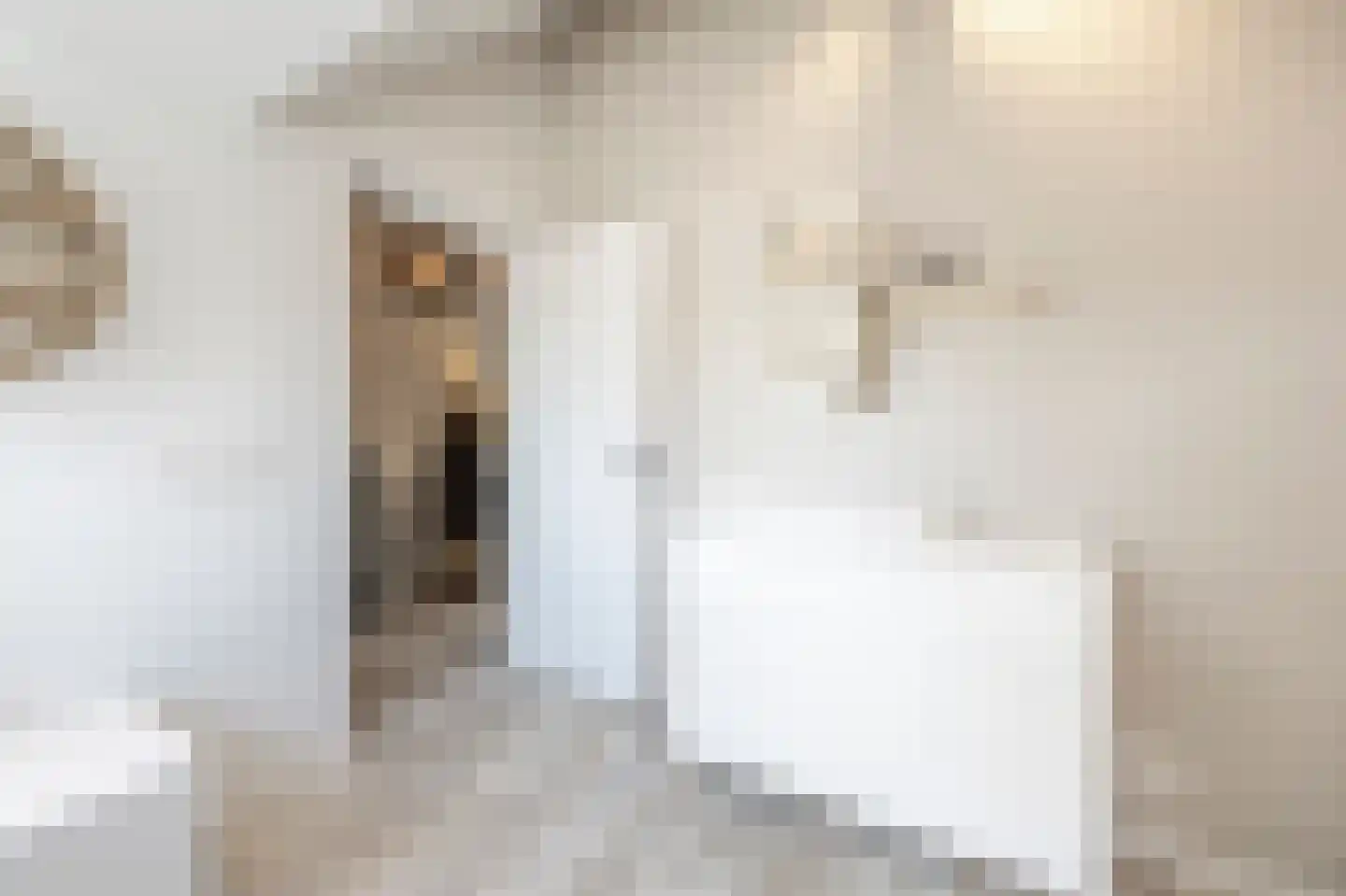 Nieuwestraat 3 Strijen thumbnail 45