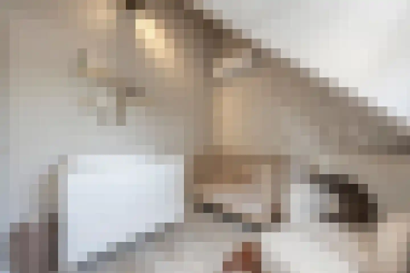 Nieuwestraat 3 Strijen thumbnail 46