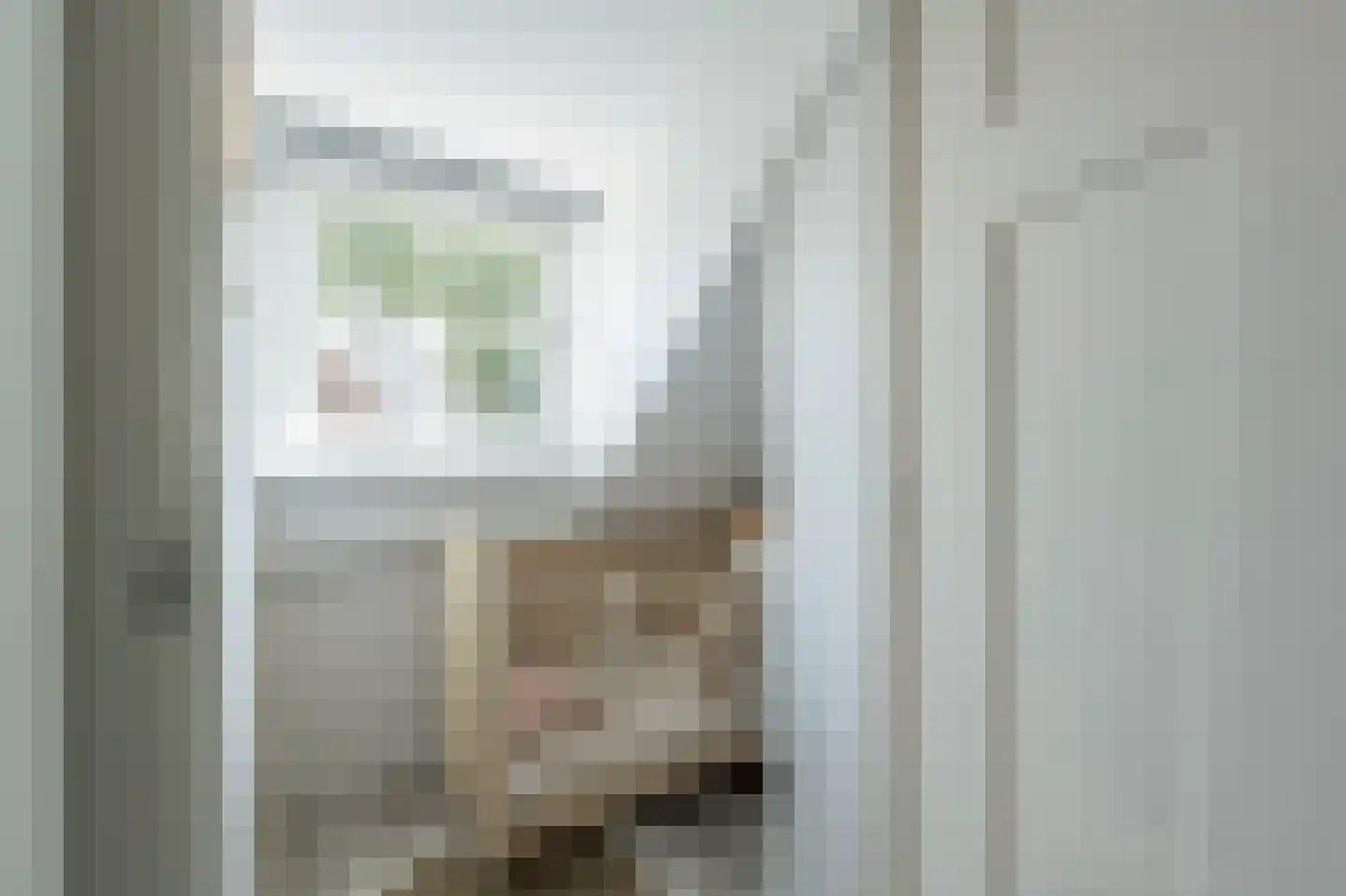 Nieuwestraat 3 Strijen thumbnail 47