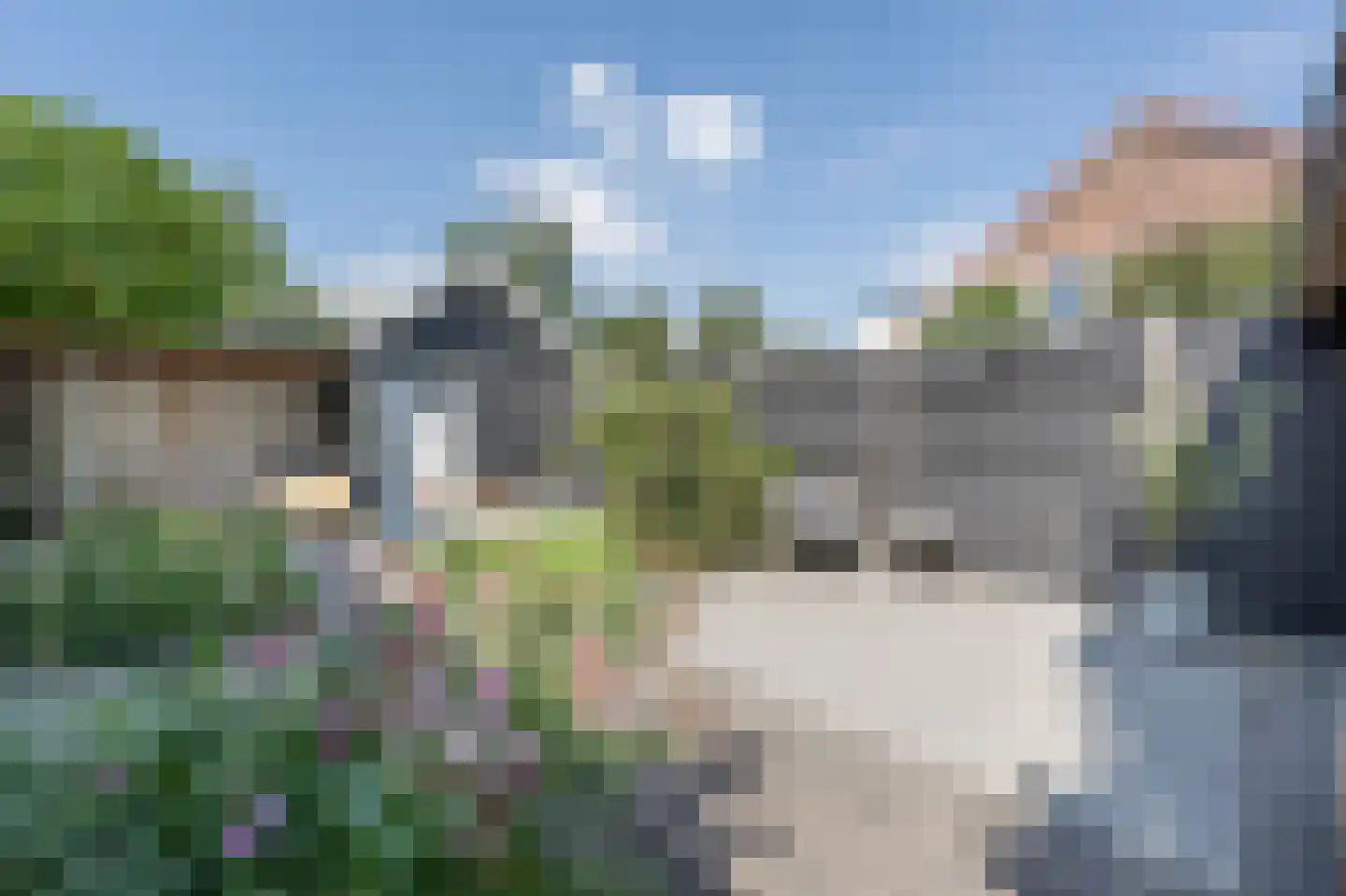 Nieuwestraat 3 Strijen thumbnail 49