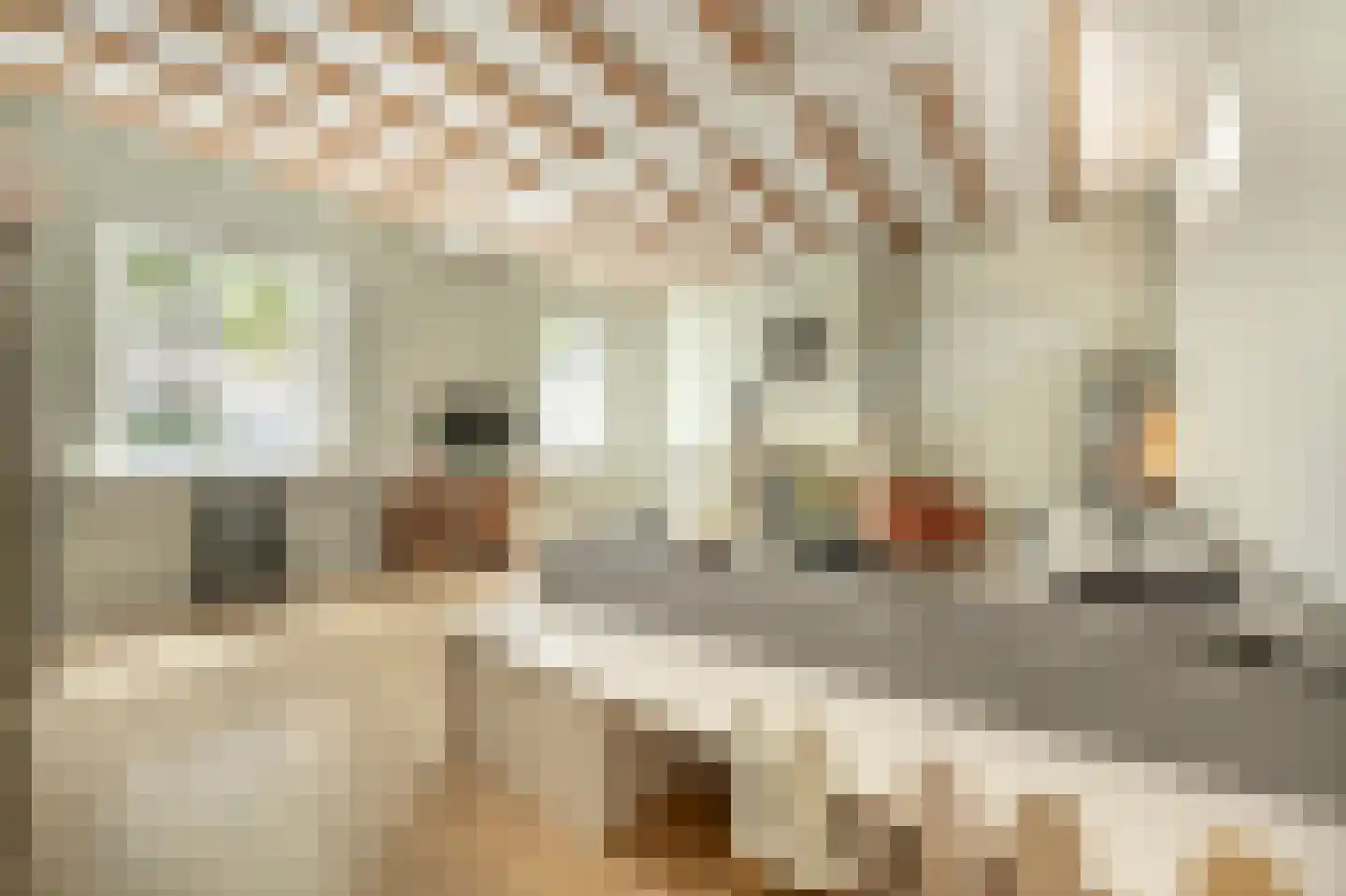 Nieuwestraat 3 Strijen thumbnail 5