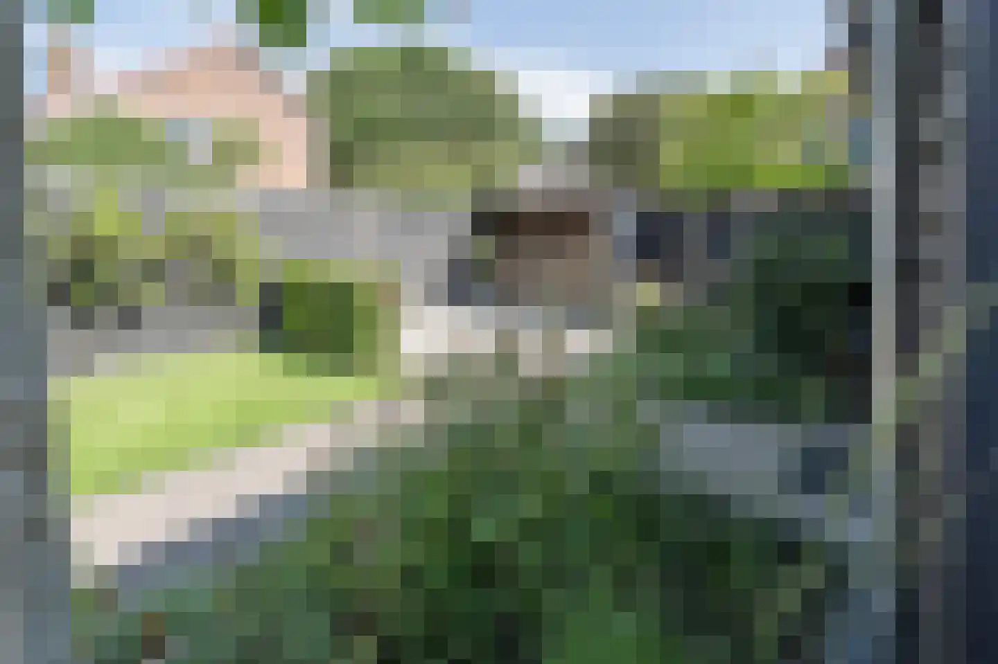 Nieuwestraat 3 Strijen thumbnail 51