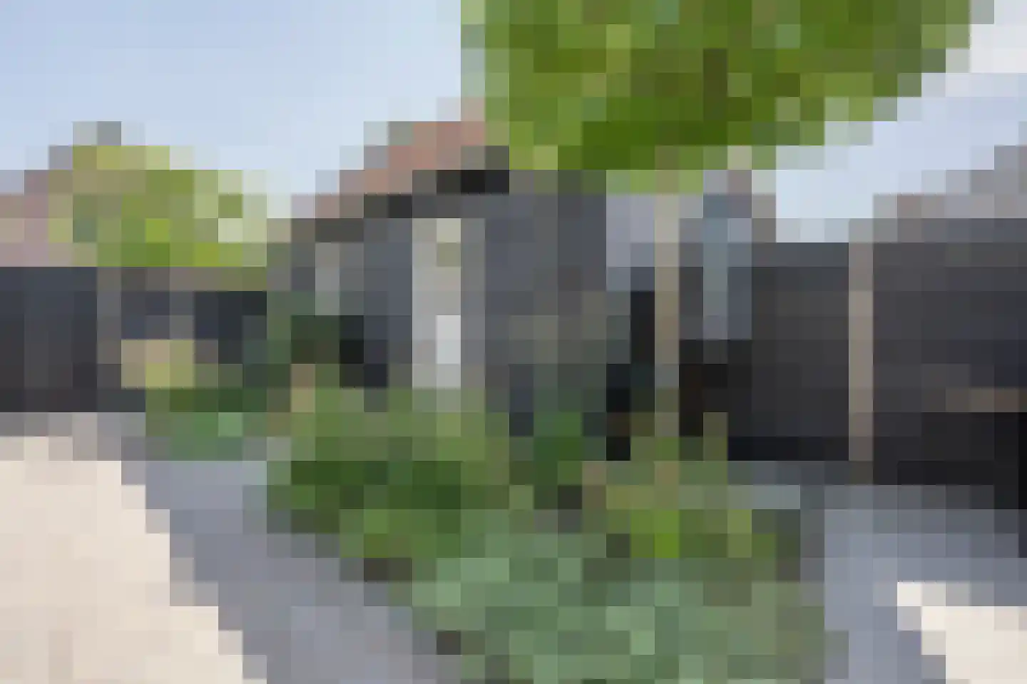 Nieuwestraat 3 Strijen thumbnail 54