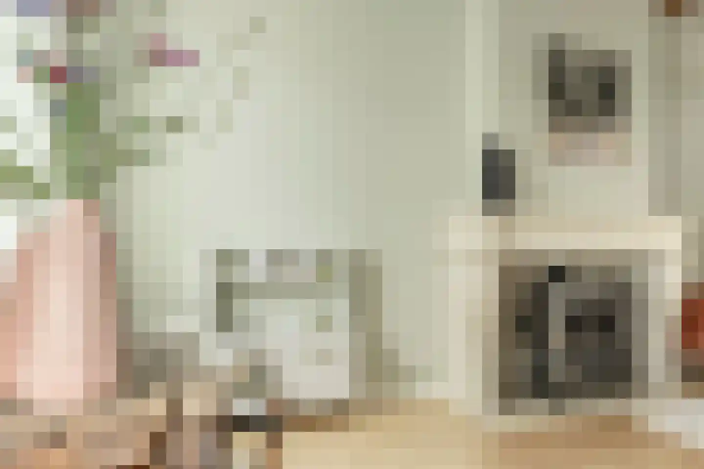 Nieuwestraat 3 Strijen thumbnail 59