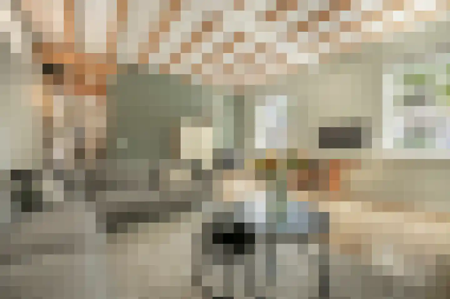Nieuwestraat 3 Strijen thumbnail 6