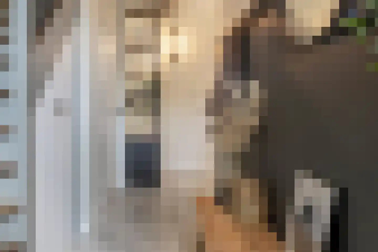 Nieuwestraat 3 Strijen thumbnail 61