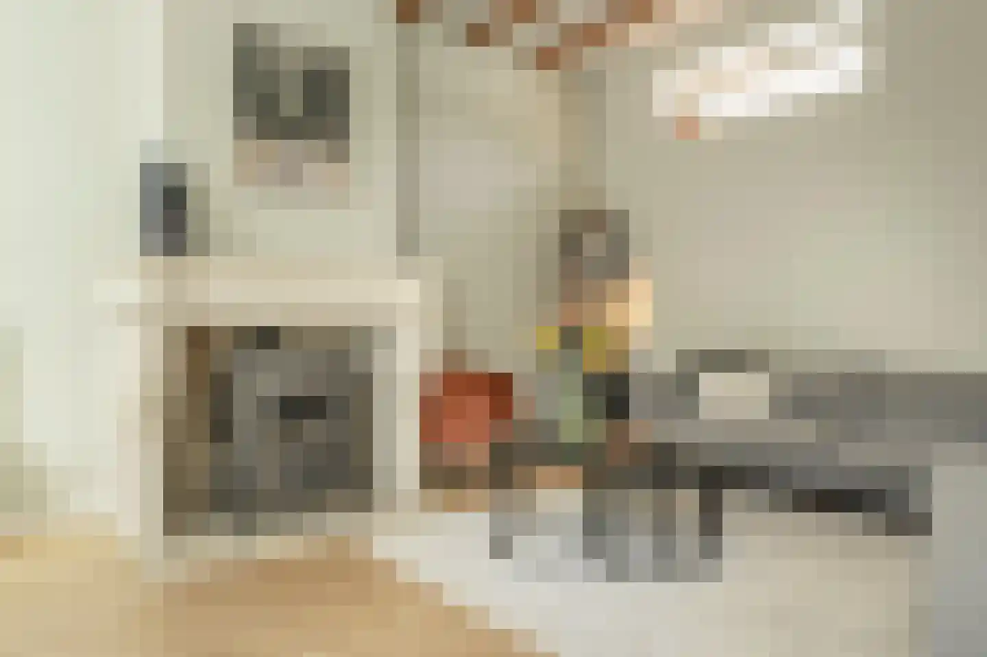 Nieuwestraat 3 Strijen thumbnail 7