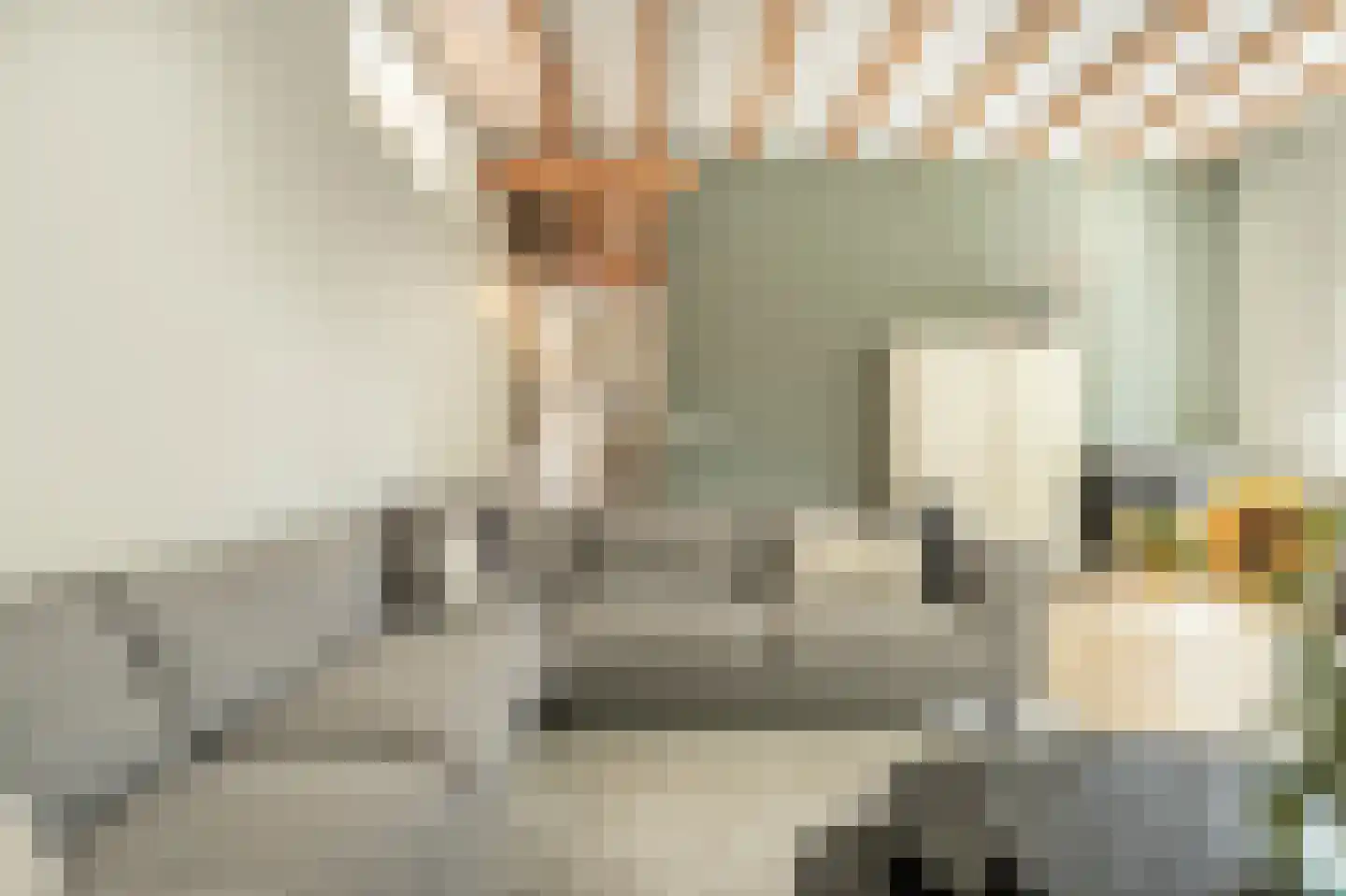Nieuwestraat 3 Strijen thumbnail 9