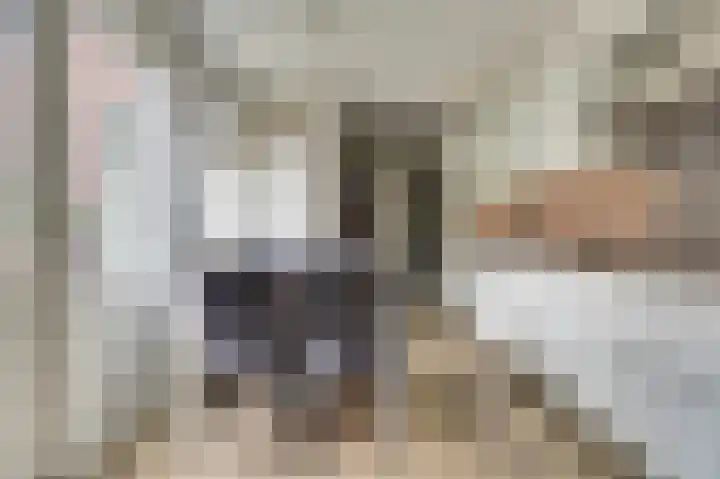 Nieuwestraat 61 Strijen thumbnail 24