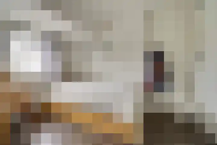 Nieuwestraat 61 Strijen thumbnail 33
