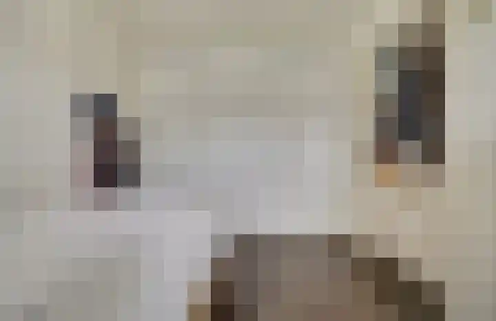 Nieuwestraat 61 Strijen thumbnail 34