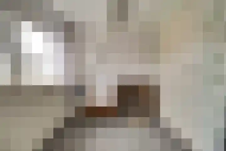 Nieuwestraat 61 Strijen thumbnail 35