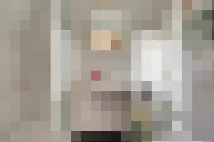 Nieuwestraat 61 Strijen thumbnail 37