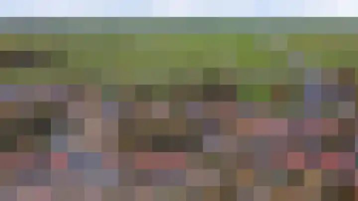 Nieuwestraat 61 Strijen thumbnail 4