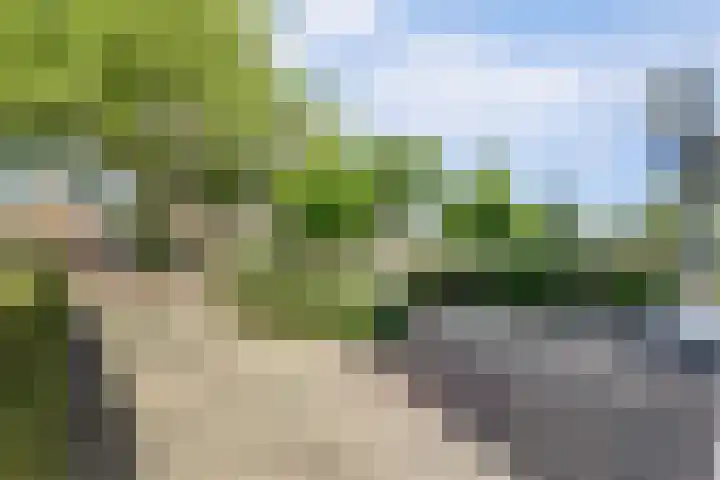Nieuwestraat 72 Strijen thumbnail 10
