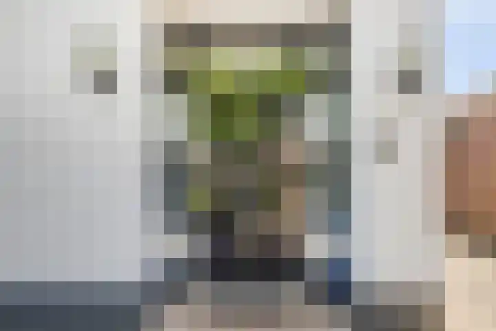 Nieuwestraat 72 Strijen thumbnail 11