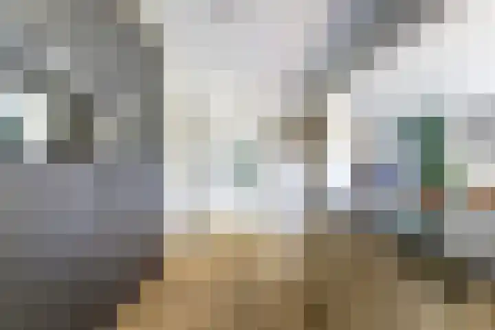 Nieuwestraat 72 Strijen thumbnail 18