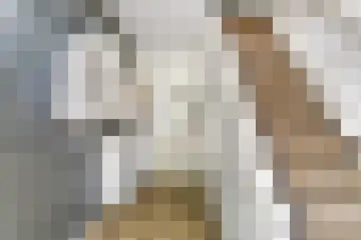Nieuwestraat 72 Strijen thumbnail 24