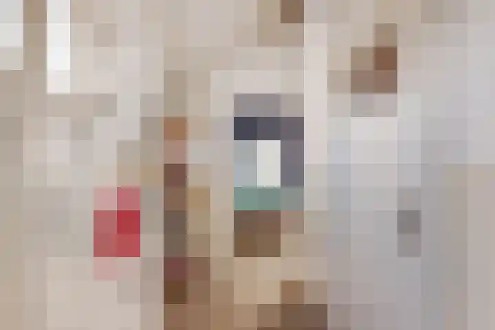 Nieuwestraat 72 Strijen thumbnail 32