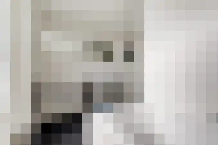 Nieuwestraat 72 Strijen thumbnail 38
