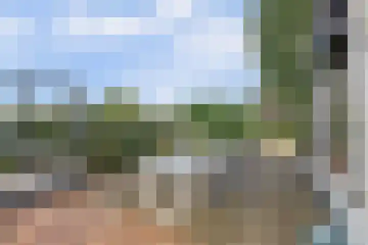 Nieuwestraat 72 Strijen thumbnail 42