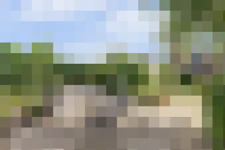Nieuwestraat 72 Strijen thumbnail 45