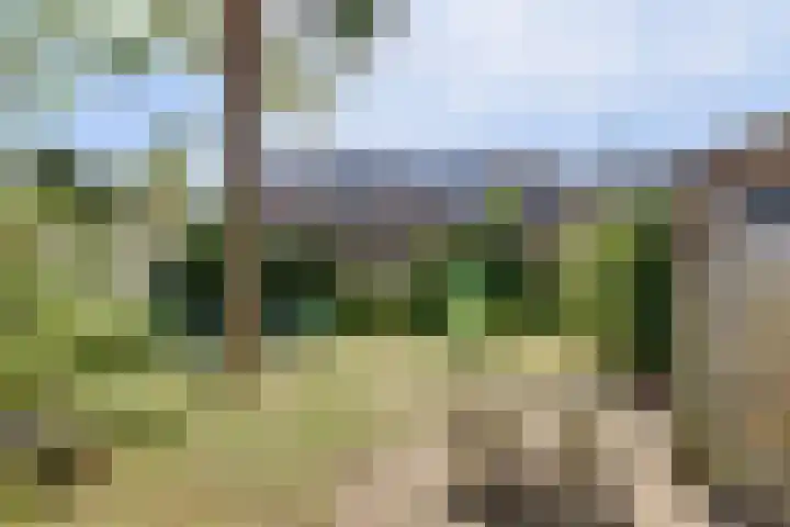 Nieuwestraat 72 Strijen thumbnail 46