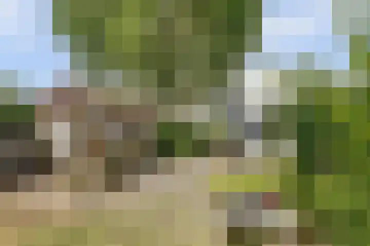 Nieuwestraat 72 Strijen thumbnail 47