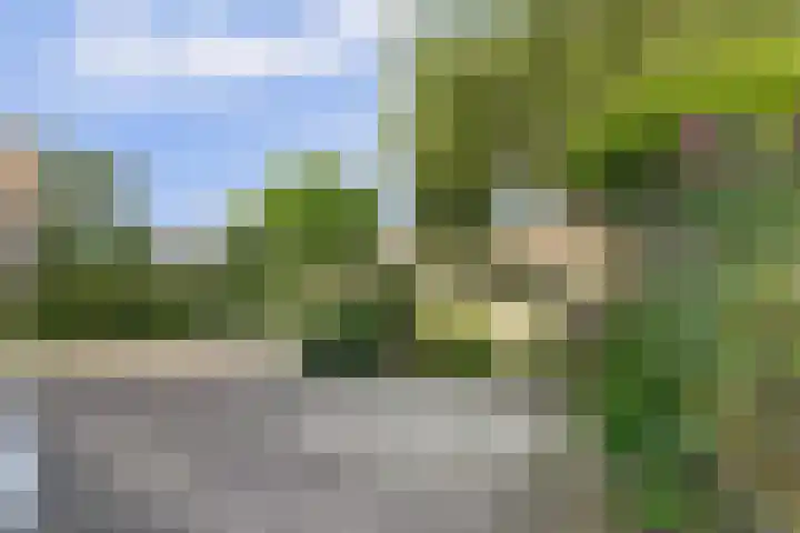 Nieuwestraat 72 Strijen thumbnail 48