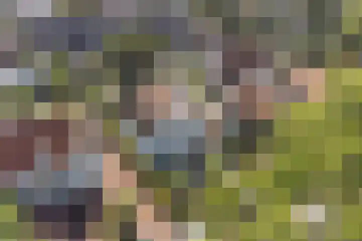 Nieuwestraat 72 Strijen thumbnail 5