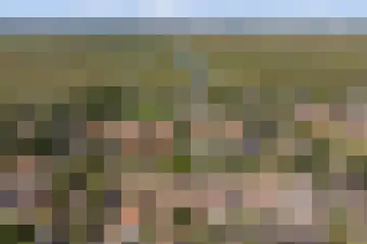 Nieuwestraat 72 Strijen thumbnail 50