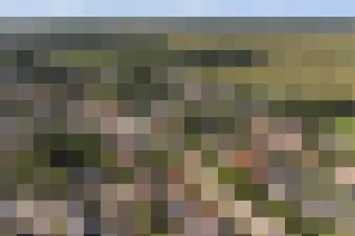 Nieuwestraat 72 Strijen thumbnail 51